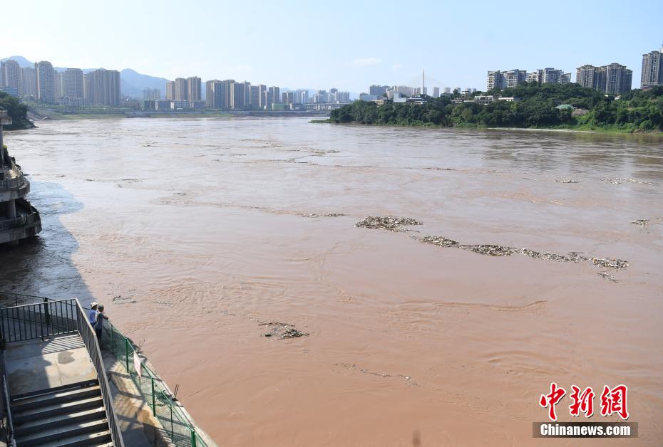 水位上昇が続く嘉陵江の磁器口區(qū)間（撮影?陳超）。