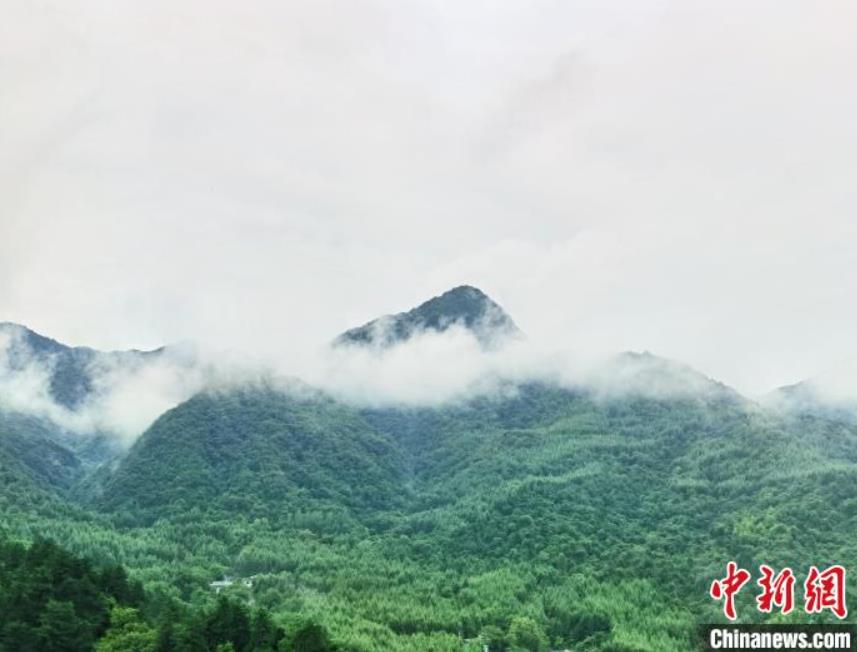 世界文化遺産?麥積山石窟の文化クリエイティブアイスが発売　甘粛省天水