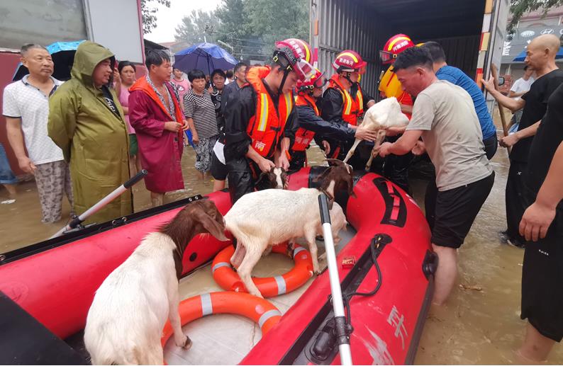 豪雨の中、奮闘する救援部隊(duì)の人々　河南省