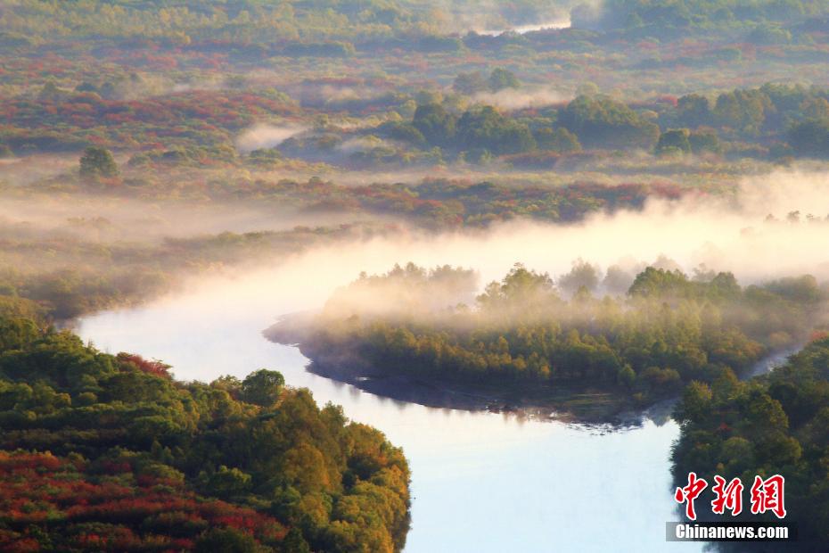 仙境のごとく美しい「アジア第一の濕地」の夏　內(nèi)モンゴル