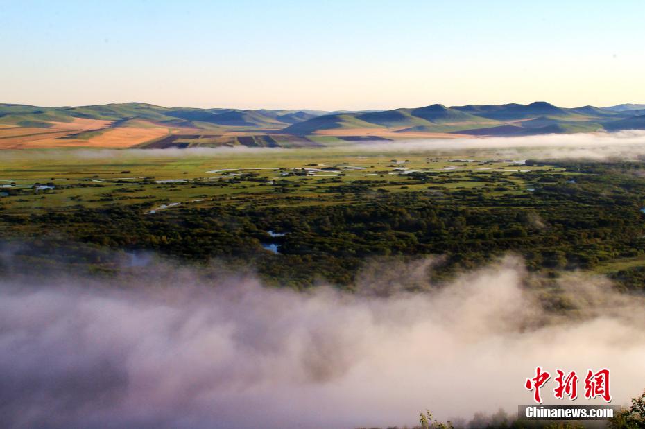 仙境のごとく美しい「アジア第一の濕地」の夏　內(nèi)モンゴル