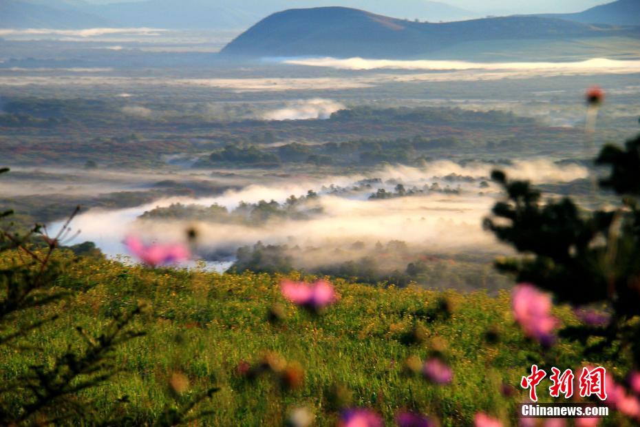 朝霧のなかに風景が見え隠れし、まるで水墨畫の世界が広がる額爾古納（アルグン）濕地（撮影?姜立春）