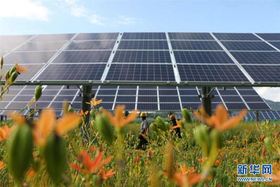 「農(nóng)業(yè)?太陽(yáng)光相互補(bǔ)完」産業(yè)パークが発展　河北省平泉市