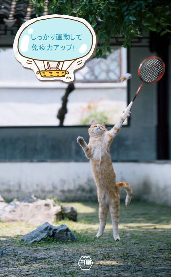 「ちゃんと予防してニャ！」蘇州の庭園貓も感染対策アピール？　江蘇省