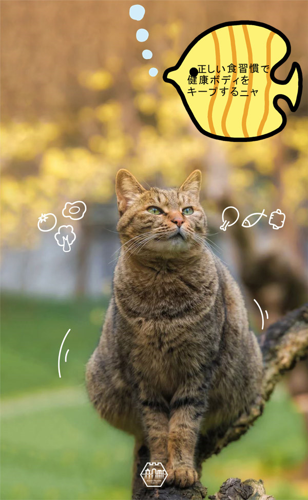 「ちゃんと予防してニャ！」蘇州の庭園貓も感染対策アピール？　江蘇省