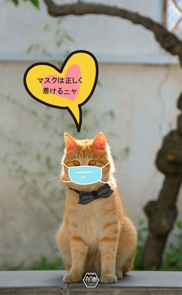 「ちゃんと予防してニャ！」蘇州の庭園貓も感染対策アピール？　江蘇省