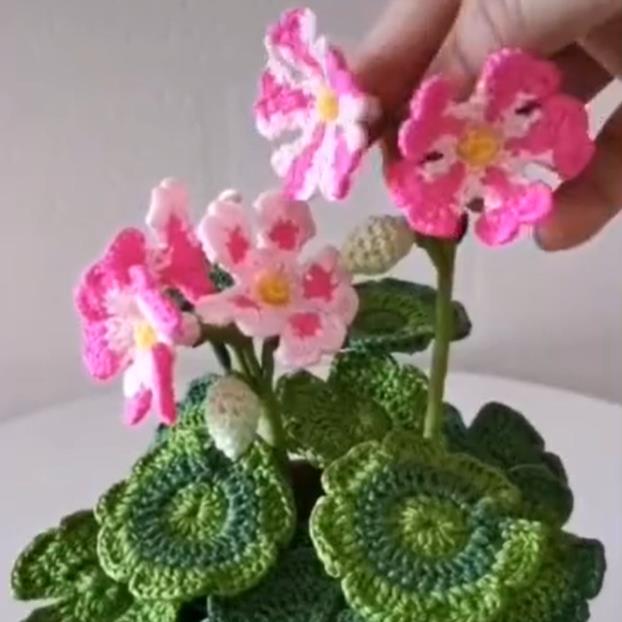 このハスの花も編んだの？かぎ針編みで咲かせる花々　広東省