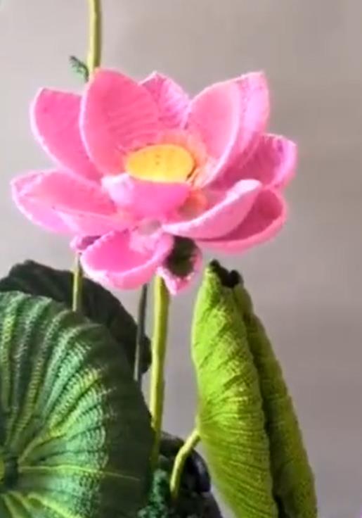 このハスの花も編んだの？かぎ針編みで咲かせる花々　広東省