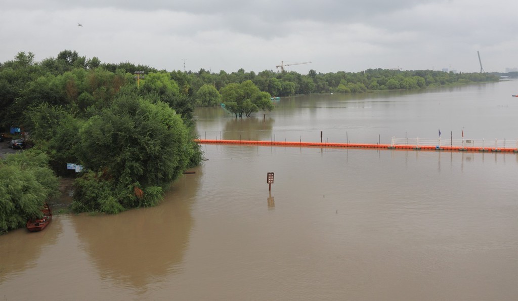 洪水により冠水した樹木（寫真著作権は東方ICが所有のため転載禁止）。