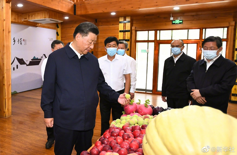 習(xí)近平総書記が承徳市で文化遺産保護(hù)?継承活動などを視察