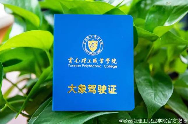 「ゾウの運(yùn)転免許証」でゾウに乗れるゾウ？　雲(yún)南省