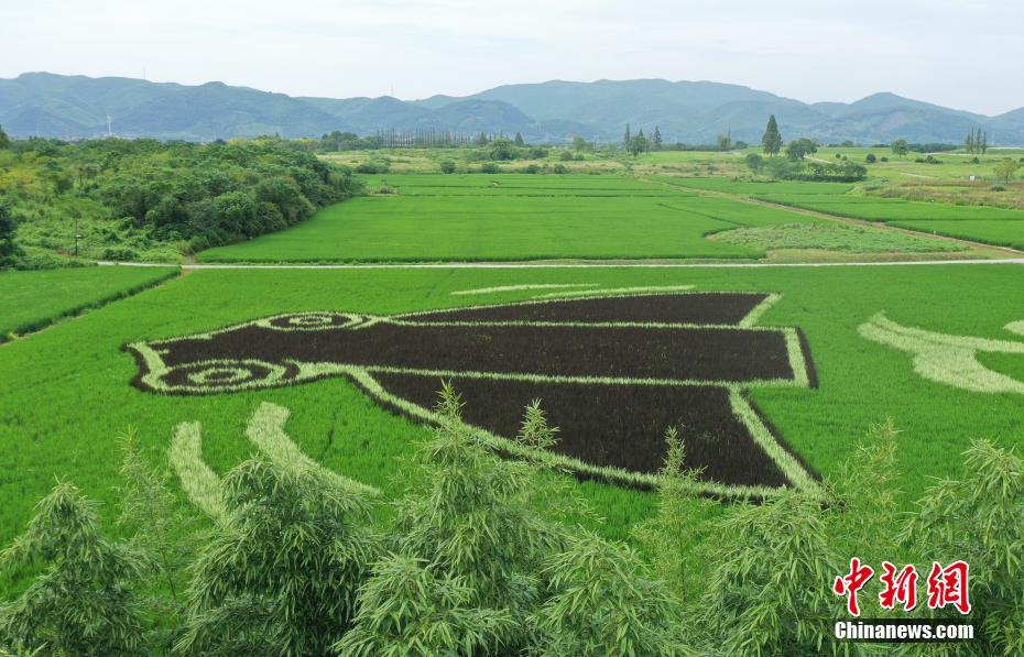 田んぼアートで古代文明を描く！　浙江省杭州良渚