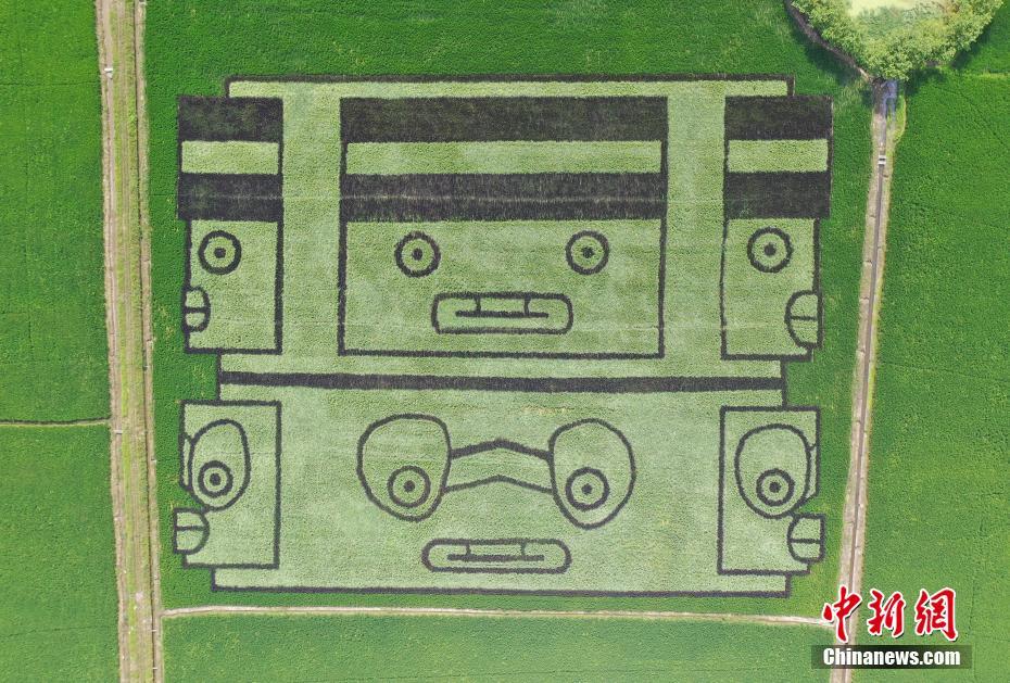 田んぼアートで古代文明を描く！　浙江省杭州良渚