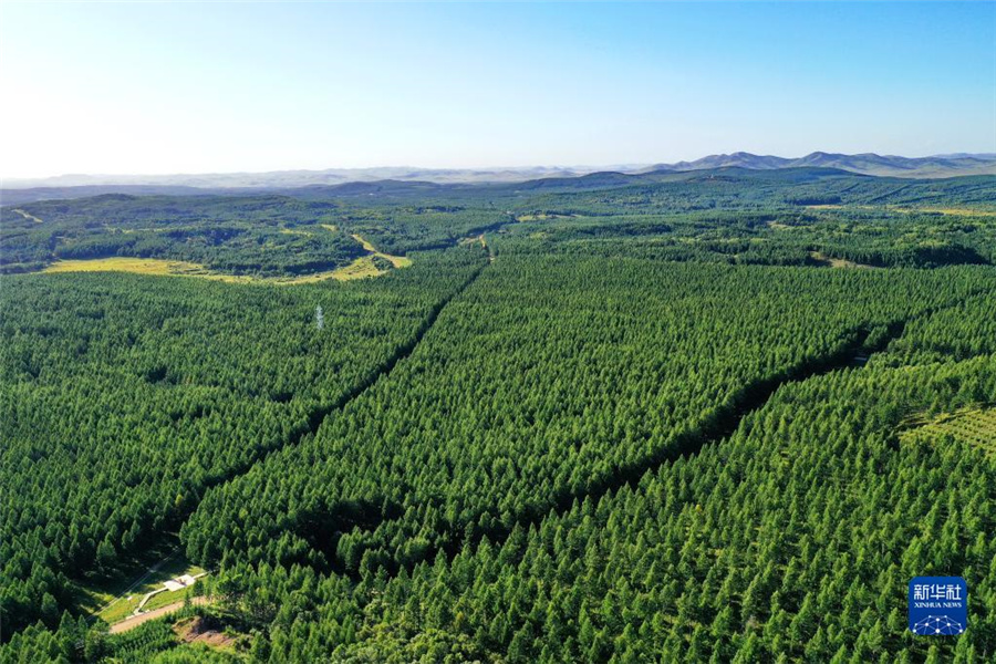 塞罕壩機(jī)械林場(chǎng)の風(fēng)景（22日にドローンで撮影）。