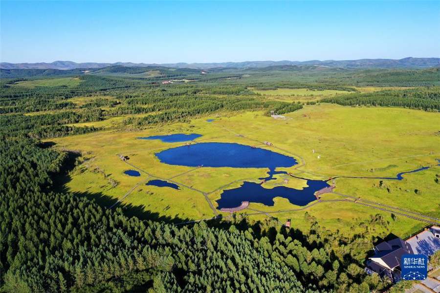 塞罕壩造林事業(yè)、1本の苗から世界最大の人工林へ