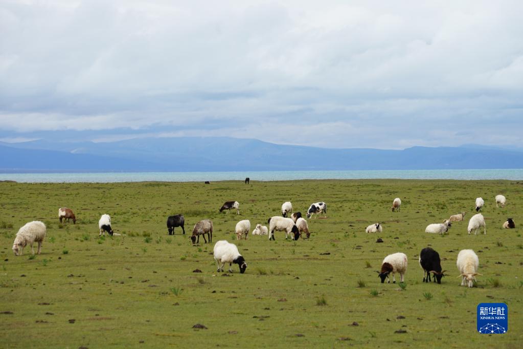 降雨後の青海湖　青海省