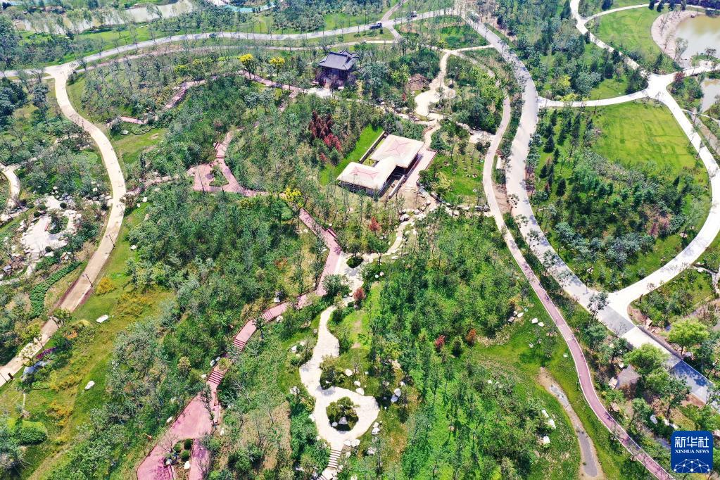 河北雄安新區(qū)悅容公園の建設工事が著実に進展