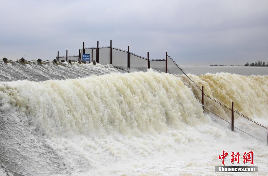 連日の豪雨の影響を受け、壯観な光景を目にすることができる運河水利の重要地である戴村壩（撮影?趙暁）。