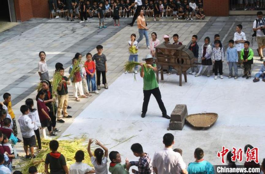 小學校で稲刈り體験！穀物育てる苦労學ぶ児童たち　重慶市