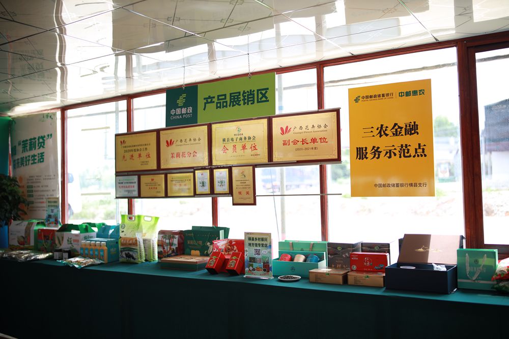 広西橫州市、ジャスミン産業(yè)クラスターを構(gòu)築