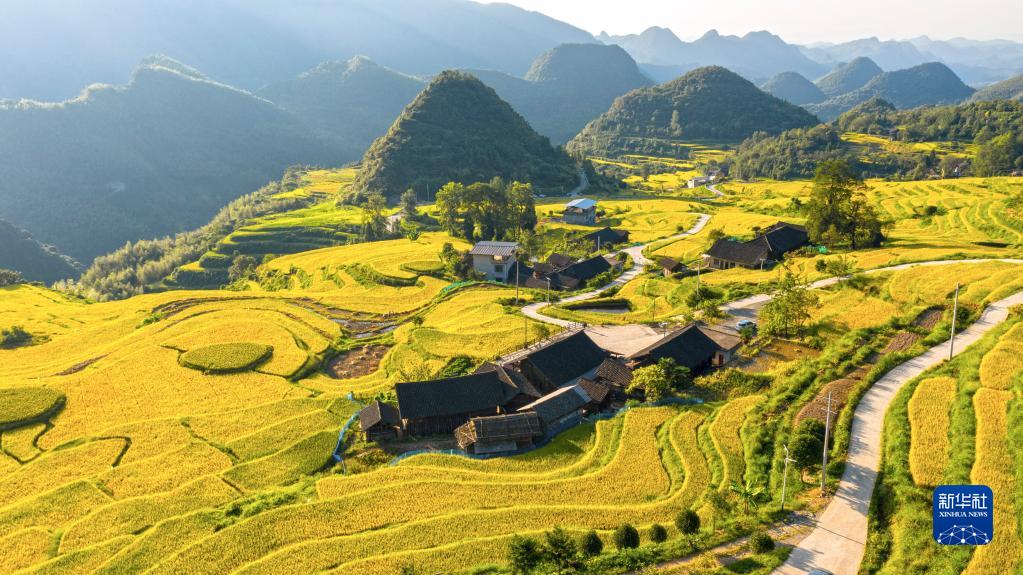 豊作となり黃金色に輝く山村の棚田　湖南省東安県