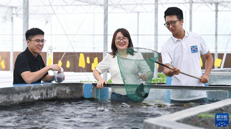 香港地區(qū)の若者3人が広東省で創(chuàng)設(shè)した野菜ファーム