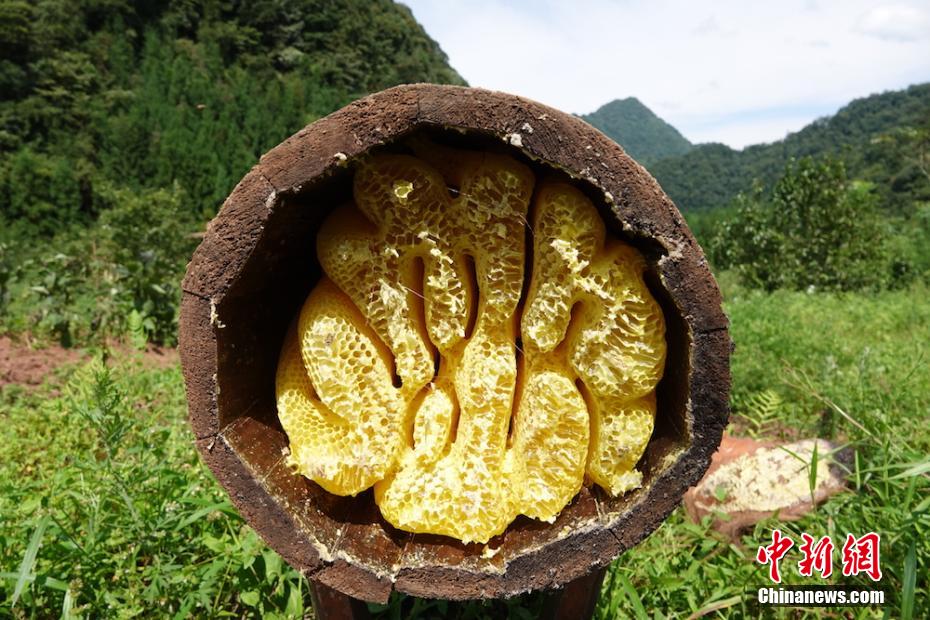 四川省の深い山あいにある「甘い産業(yè)」