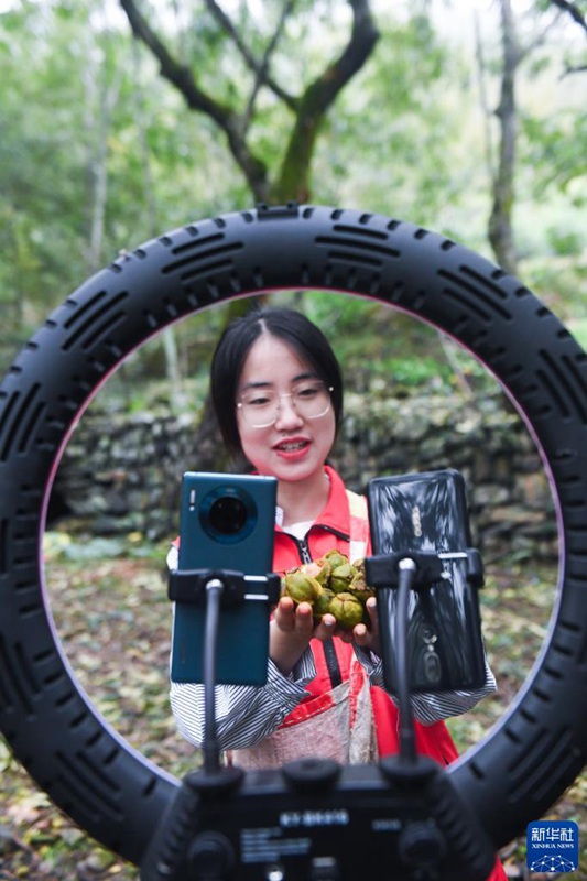 「白露」の到來とともに山の恵みを収穫　浙江省