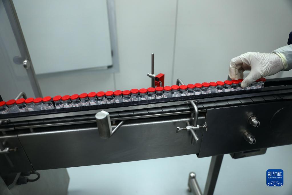 中國製新型コロナワクチンを現地生産するエジプトの工場を訪ねて