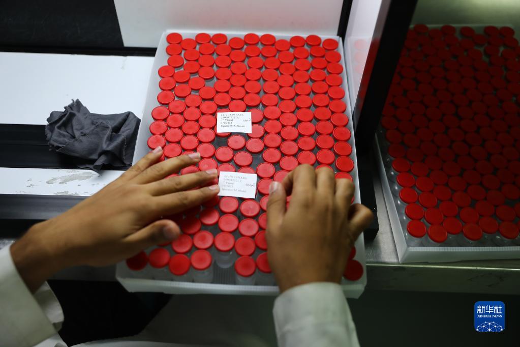 中國製新型コロナワクチンを現(xiàn)地生産するエジプトの工場を訪ねて