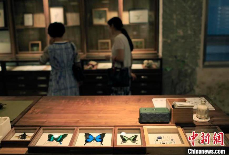 「大自然」をアート作品にした二人の若者　四川省成都