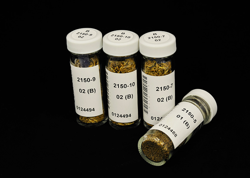 野生生物の「ノアの箱舟」、中國(guó)西南野生生物遺伝資源バンク