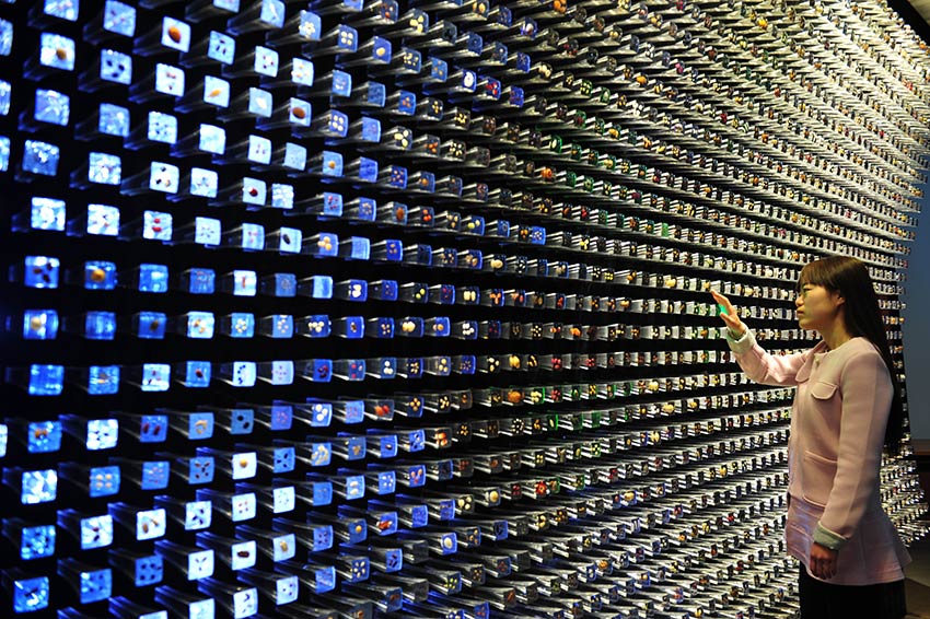 野生生物の「ノアの箱舟」、中國西南野生生物遺伝資源バンク