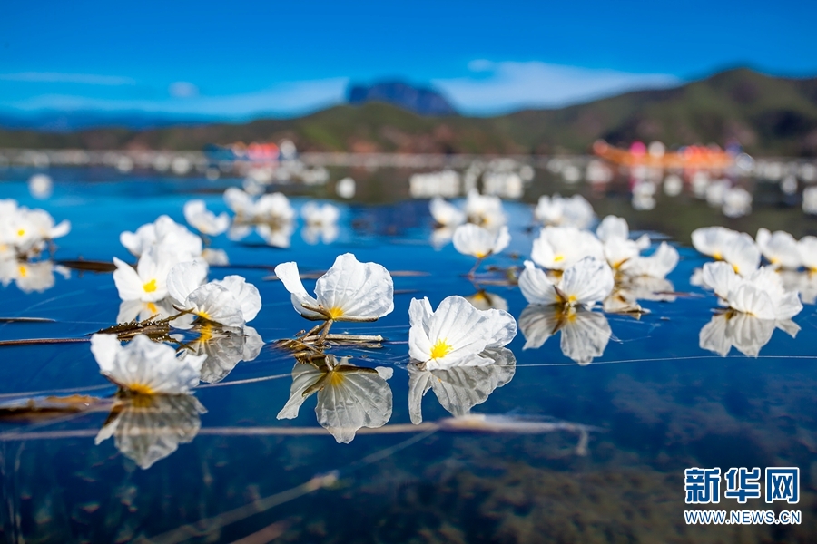 雲(yún)南の自然保護地、全省の國土面積の14.32％に