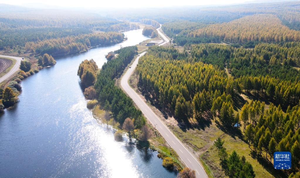 次第に秋色に染まる秋分迎えた河北省塞罕壩機(jī)械林場(chǎng)