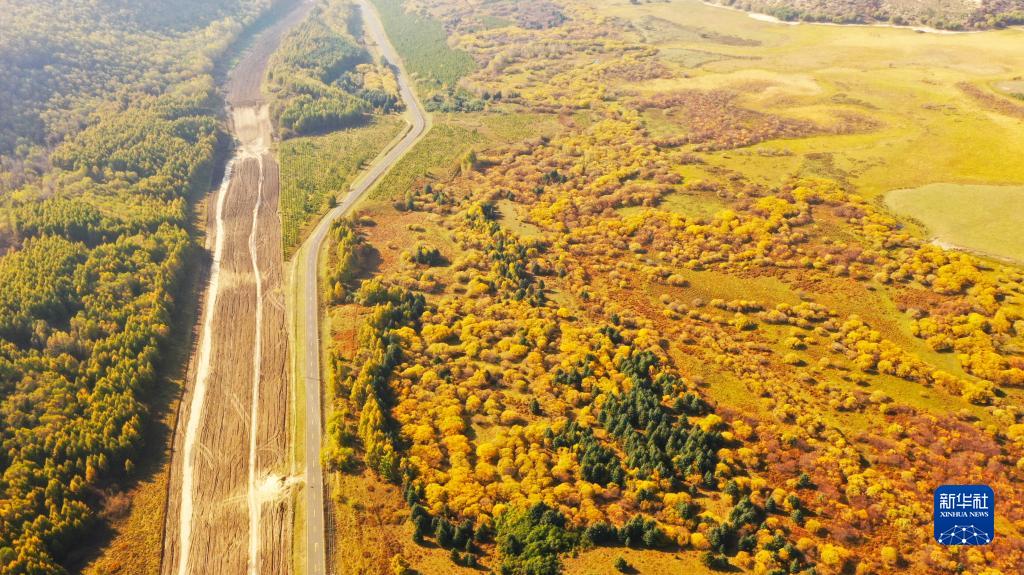 次第に秋色に染まる秋分迎えた河北省塞罕壩機(jī)械林場(chǎng)
