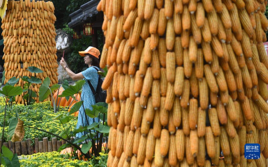 豊作祝い農(nóng)作物を展示　広西