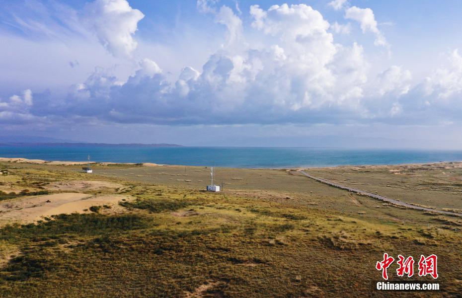 砂漠の緑化が進む青海湖沙島　生態(tài)系が著しく回復(fù)