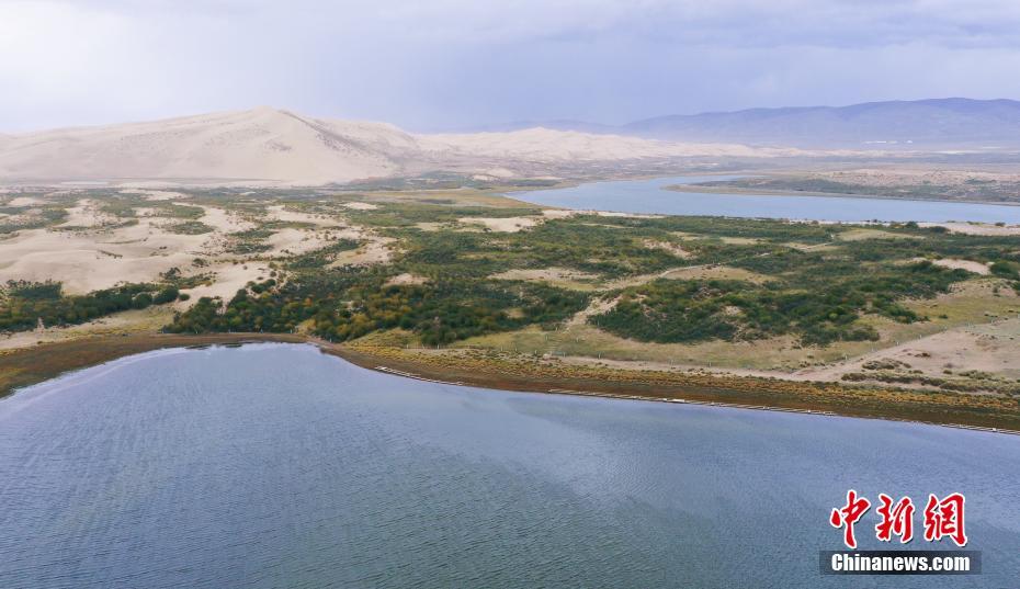 砂漠の緑化が進(jìn)む青海湖沙島　生態(tài)系が著しく回復(fù)