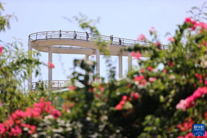 廈門市の公共空間が徐々に開放へ　新規(guī)感染者ゼロを受け