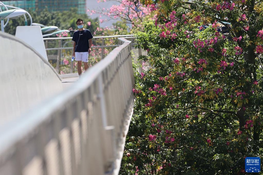 廈門市の公共空間が徐々に開放へ　新規(guī)感染者ゼロを受け