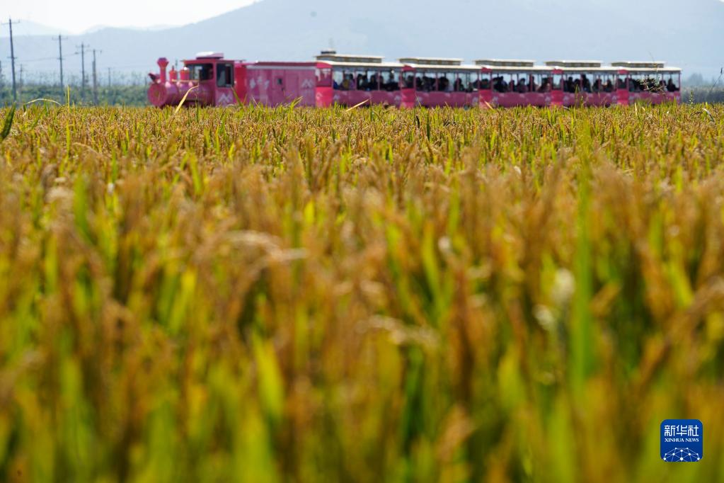 國慶節(jié)大型連休で活力見せた中國の消費活動