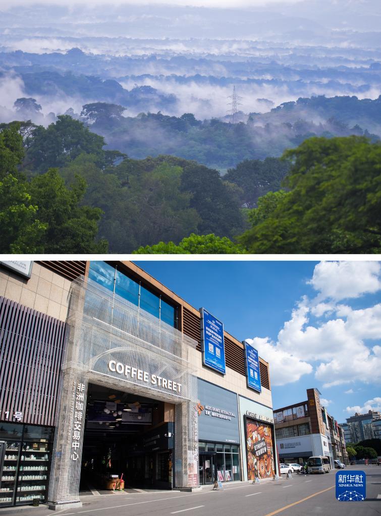 エチオピアのコーヒーを中國湖南省長沙で販売　「コーヒードリーム」が実現(xiàn)