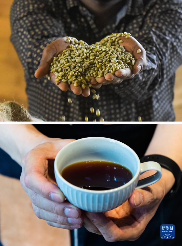 エチオピアのコーヒーを中國(guó)湖南省長(zhǎng)沙で販売　「コーヒードリーム」が実現(xiàn)