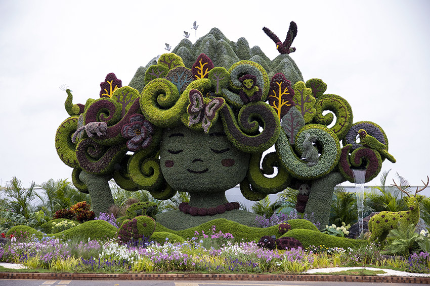 COP15開(kāi)幕　花々で飾られた會(huì)場(chǎng)が來(lái)賓迎える