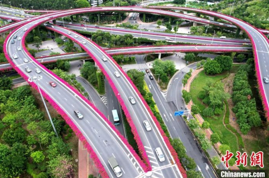 上空から見た「花のベルト」の高架橋　福建省福州