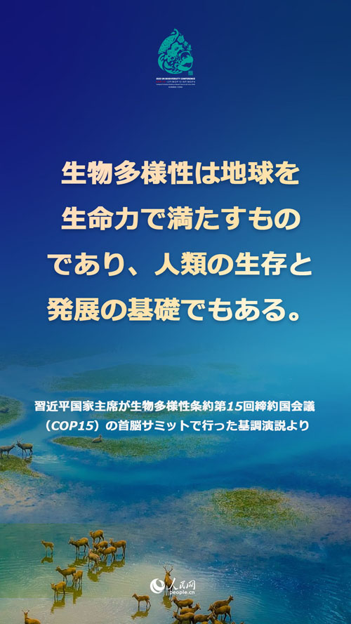 習(xí)近平國(guó)家主席「CO2排出量ピークアウト、カーボンニュートラル『1+N』政策システムを構(gòu)築」