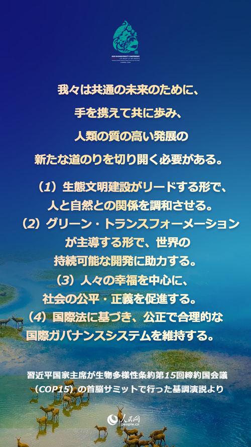 習(xí)近平國家主席「CO2排出量ピークアウト、カーボンニュートラル『1+N』政策システムを構(gòu)築」