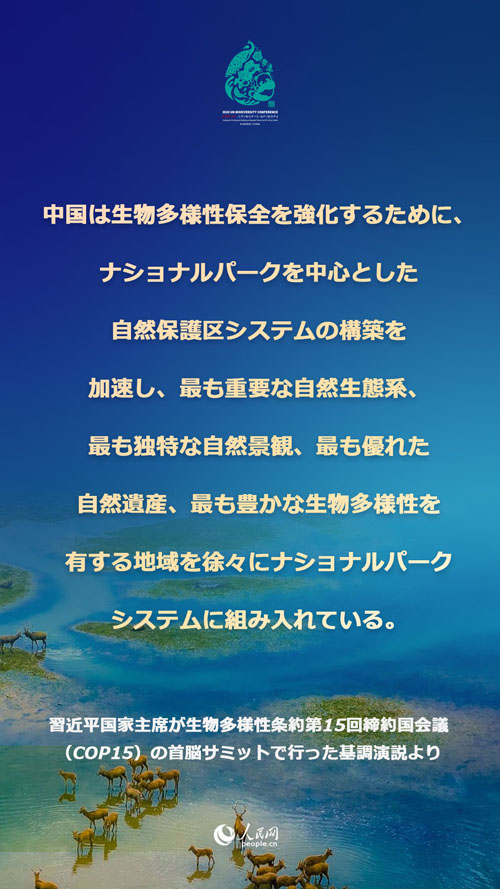 習近平國家主席「CO2排出量ピークアウト、カーボンニュートラル『1+N』政策システムを構(gòu)築」