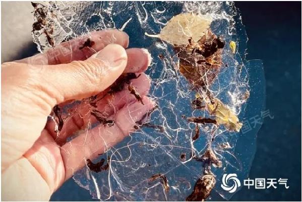 水の表面に氷が張った北京市延慶區(qū) (撮影?王暁) 。